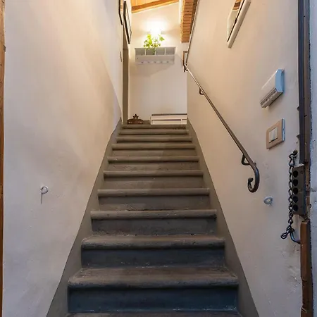 Appartement Typical